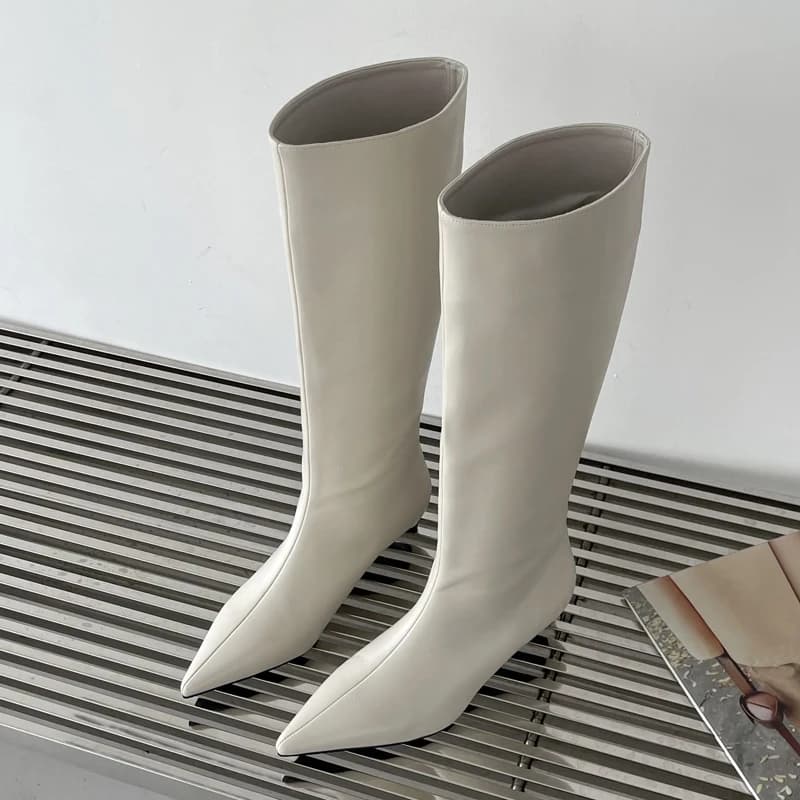 Aneikeh 2026 moda sexy apontou salto baixo joelho botas longas femininas primavera/outono plutônio costura festa bola botas ocidentais 35-42