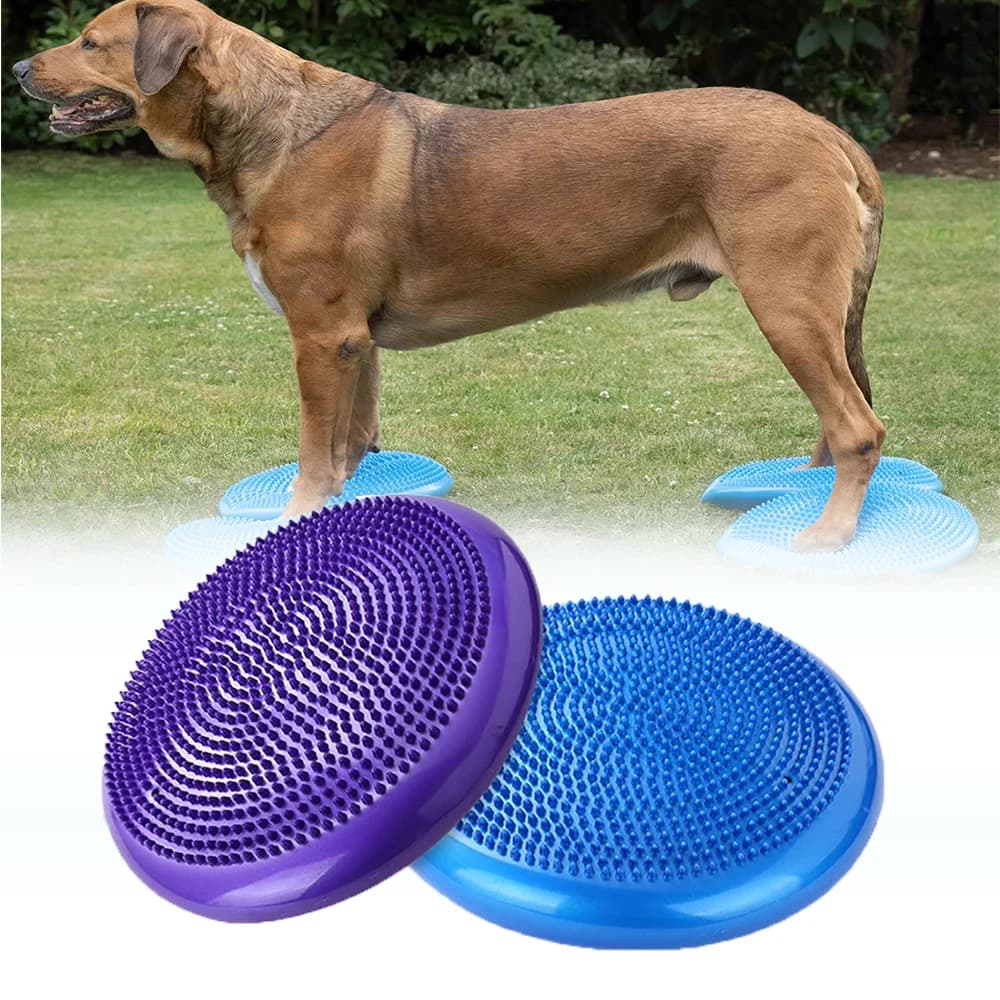 Almofada de disco de equilíbrio para cães, almofada de exercício de reabilitação, força, condicionamento de resistência, fitness para centro de reabilitação de animais de estimação, trem de agilidade