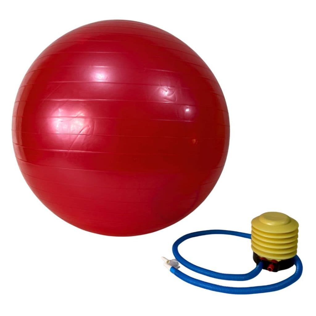 Bola Pilates 65 cm Bola Suíça com Inflador Bola de Pilates e Yoga Bola de Ginástica