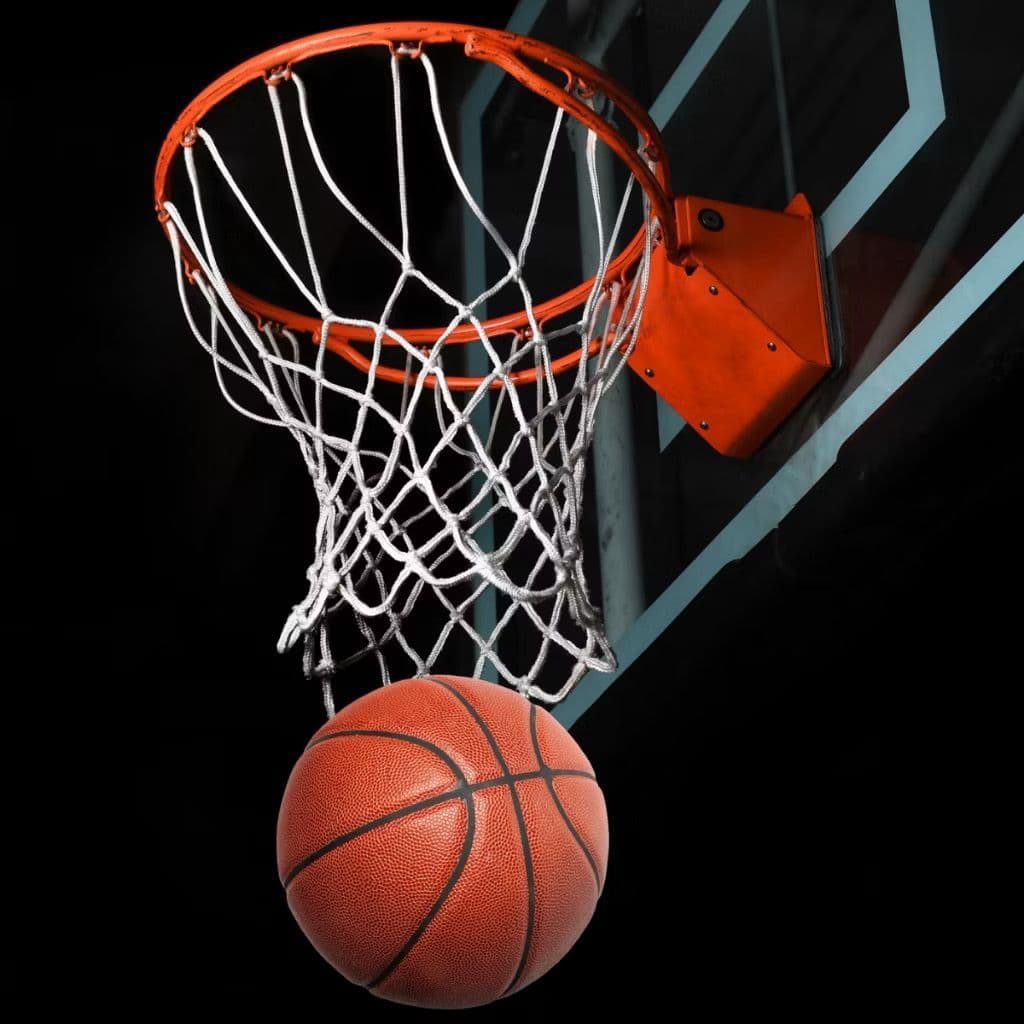 Basquete Cesta De Basquete Infantil Aro de Ferro C/ Bomba e Bola, Kit Completo com rede, Bola, Infrator, Bucha p/ Ficção