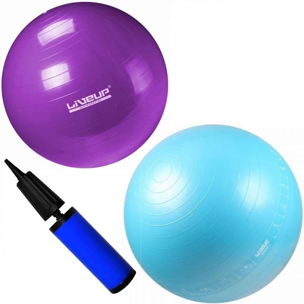 Bola Suiça 55 Cm Roxa + Bola Suiça 65 Cm com Ilustração Azul + Mini Bomba
