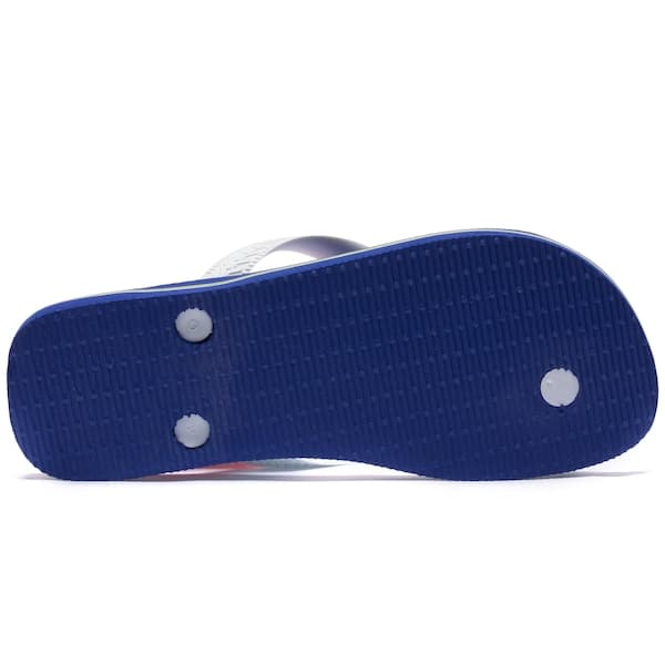 Chinelo Havaianas Brasil Logo Masculino Azul