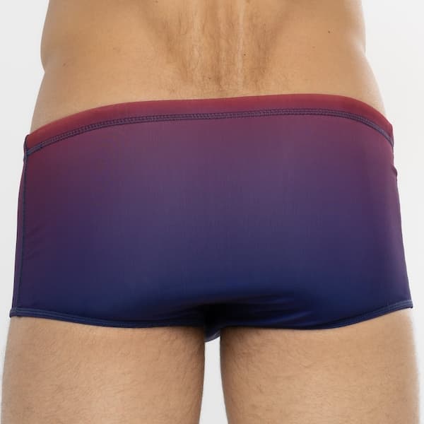 Sunga Speedo Tradicional Degrade - Adulto