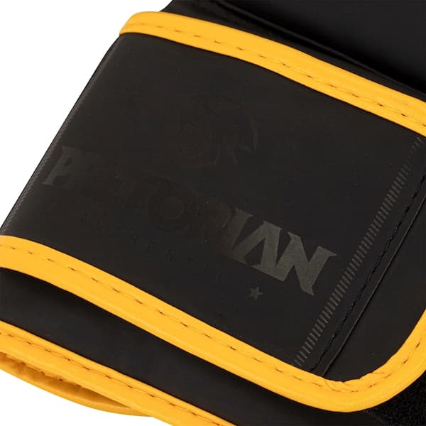 Luvas de Boxe Pretorian Muay Thai First 10 OZ Adulto