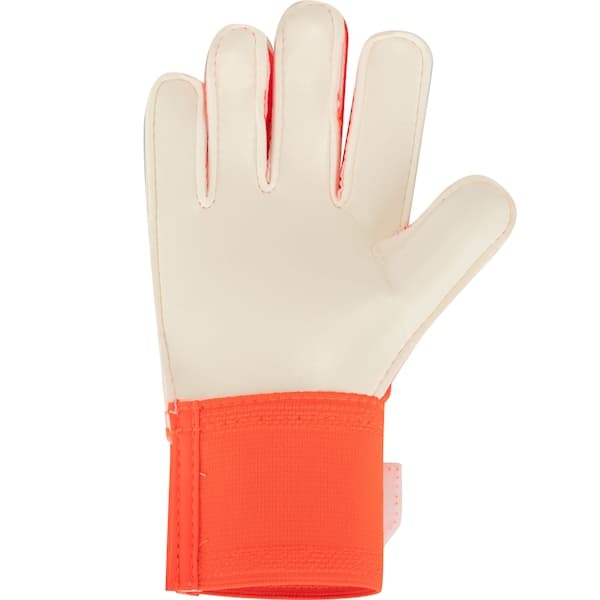 Luvas de Goleiro adidas Predator Training Infantil