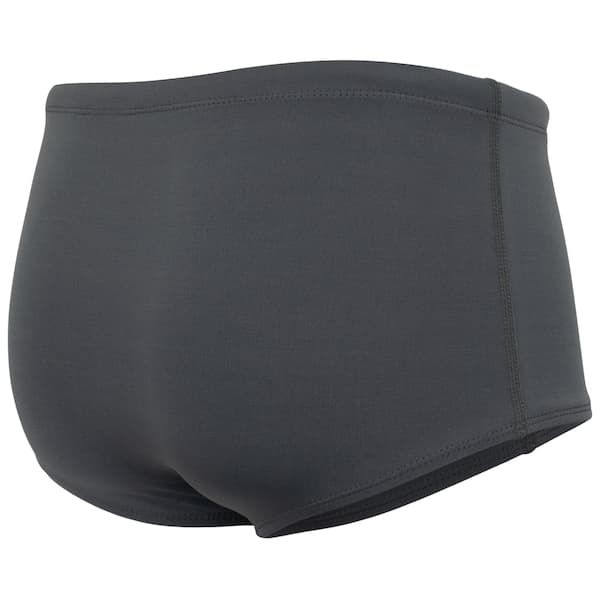 Sunga Adulto Speedo Tradicional II