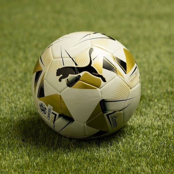 Bola de Futebol de Campo Puma Conmebol Libertadores MS