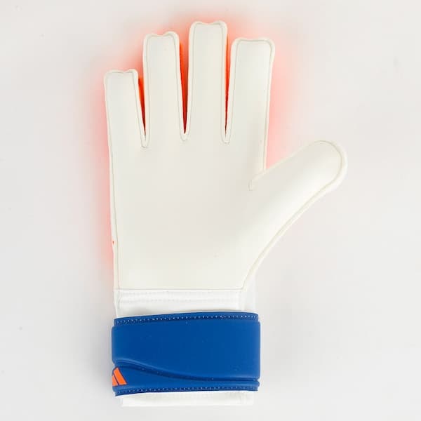 Luvas de Goleiro adidas Predator Training Infantil