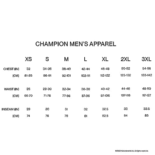Champion Moletom masculino com capuz com logotipo escrito em lã (regular ou grande e alto), Cinza Oxford - Pequeno logotipo escrito, P