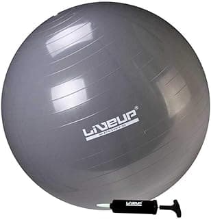 BOLA SUIÇA PREMIUM - 85CM - CINZA
