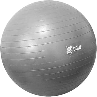Bola de Ginástica Suíça 65cm - Cinza